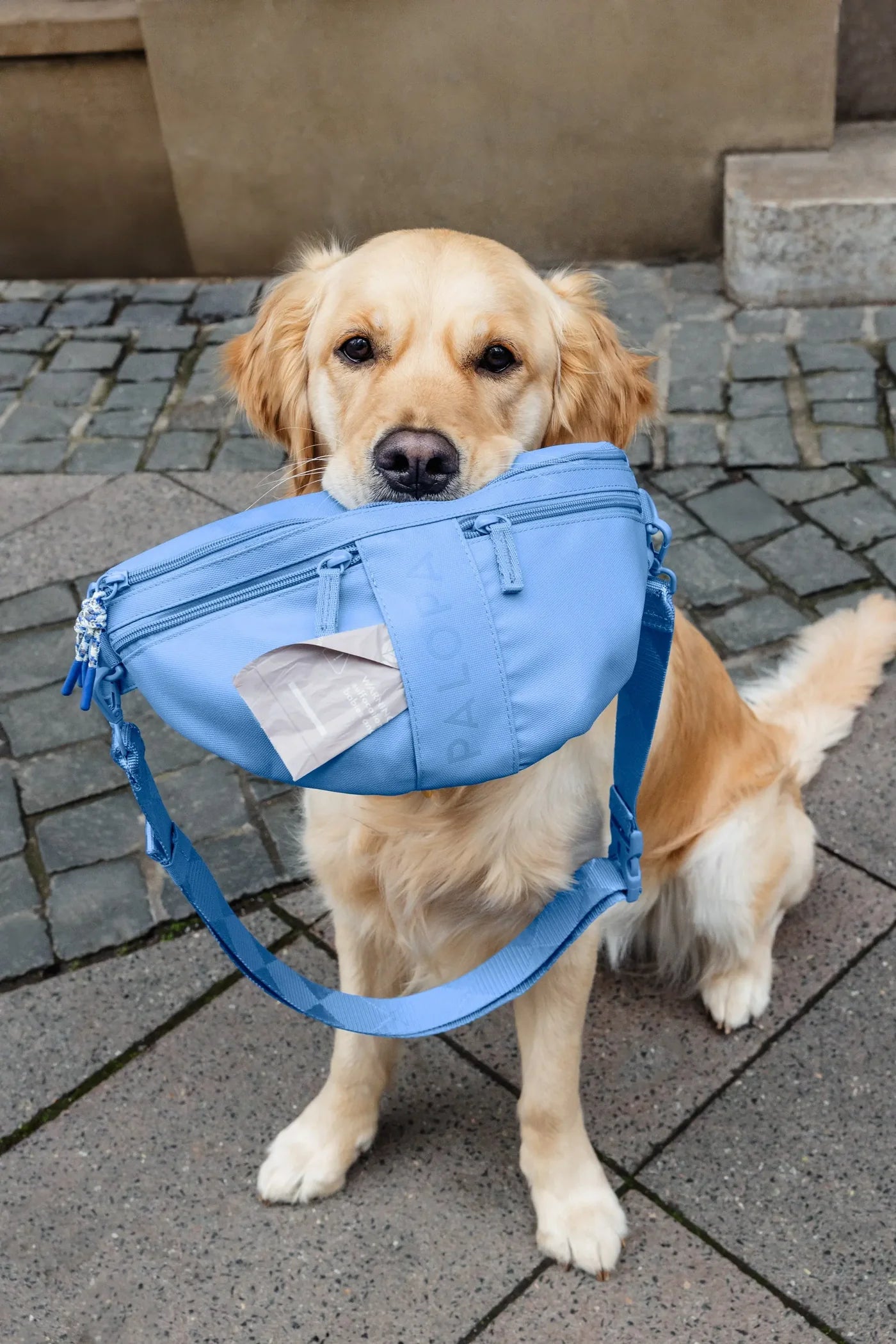 Leckerli - Tasche Emma von Palopa in Himmelblau