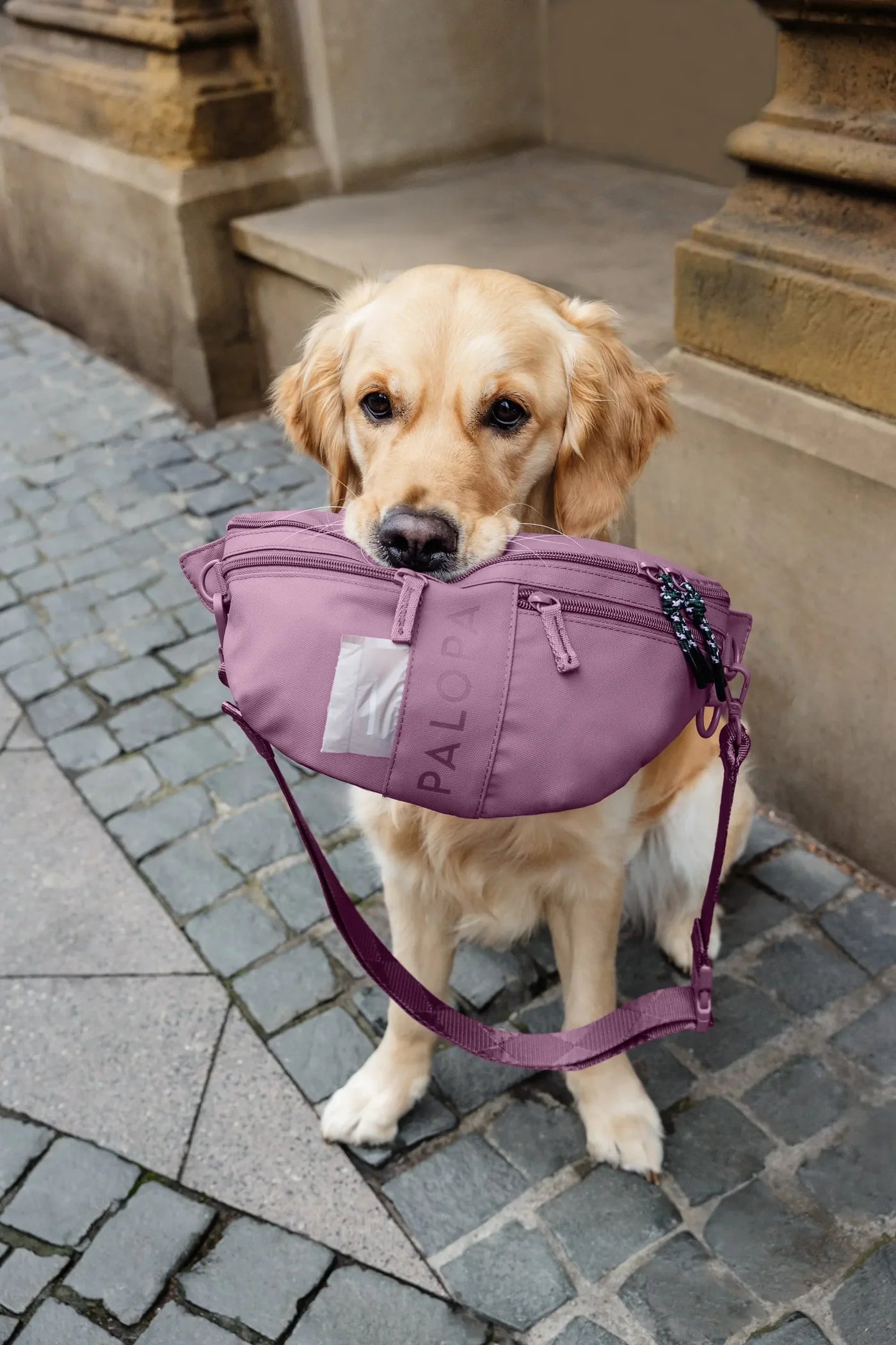 Leckerli - Tasche Emma von Palopa in BERRY ROT