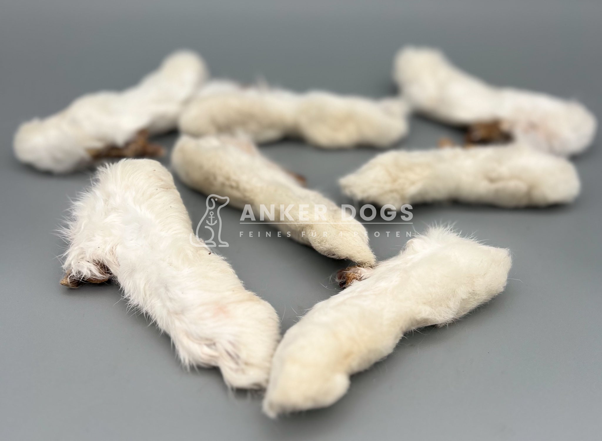 Kaninchen-Pfoten mit Fell