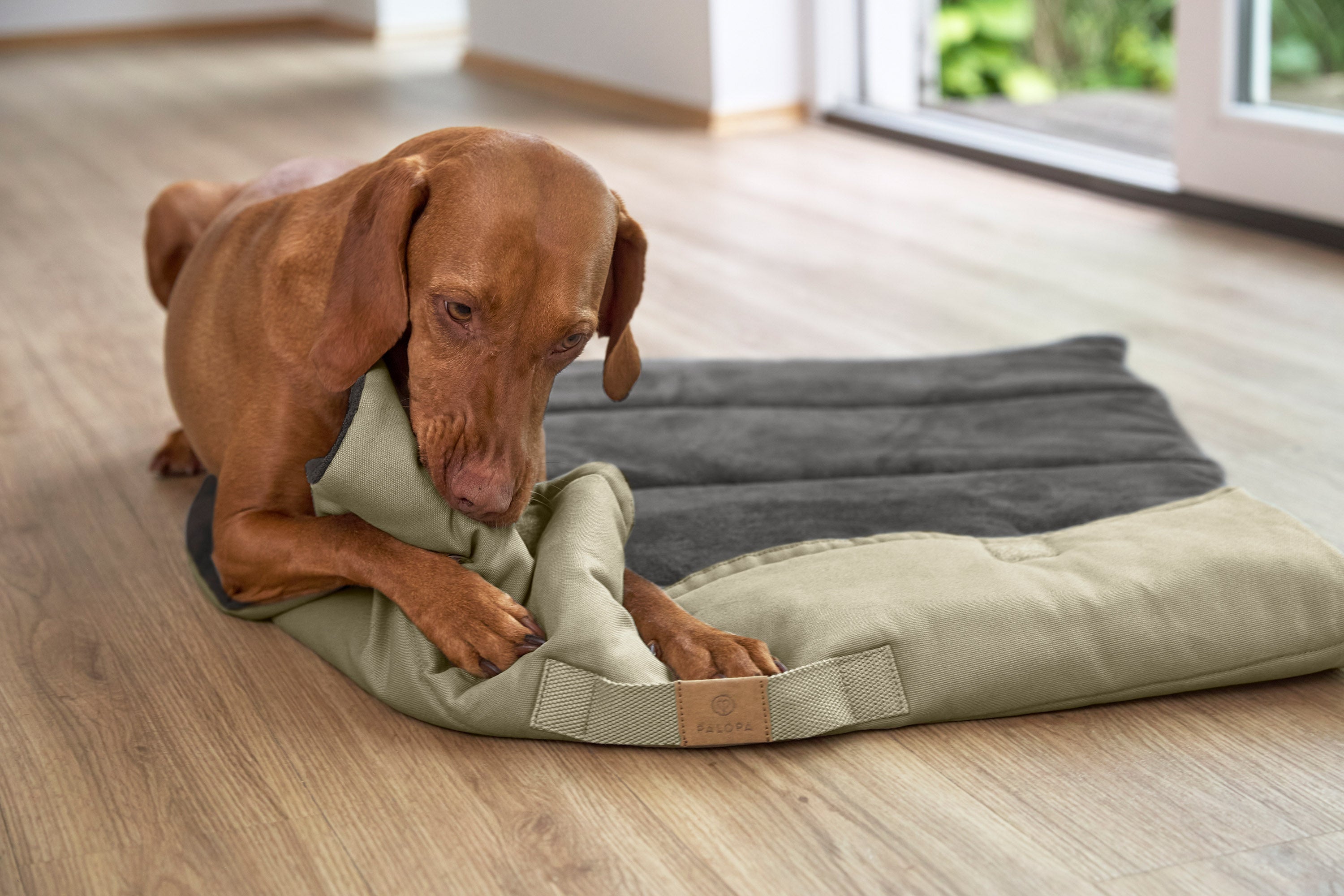 Hundematte Alma von Palopa, Salbei