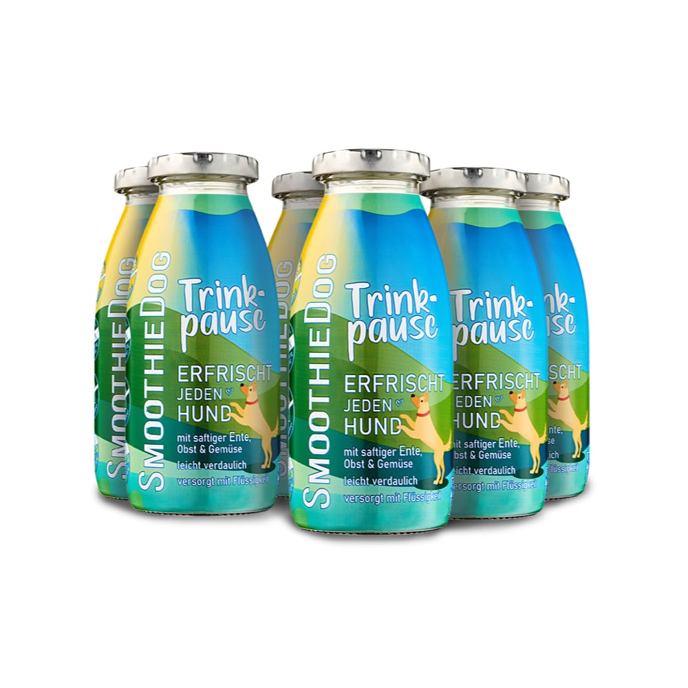 SmoothieDog Trinkpause