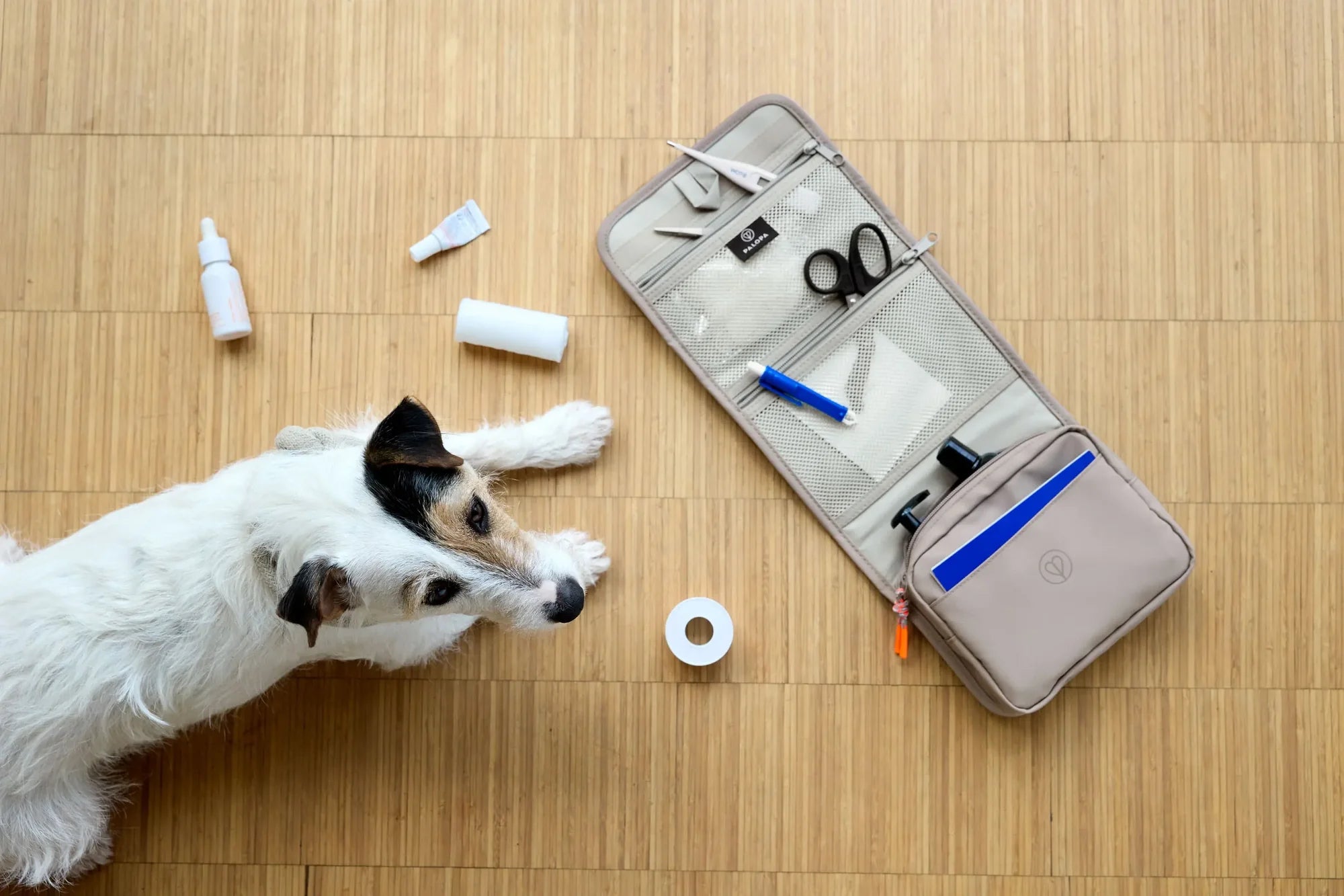 Hunde Erste-Hilfe-Set