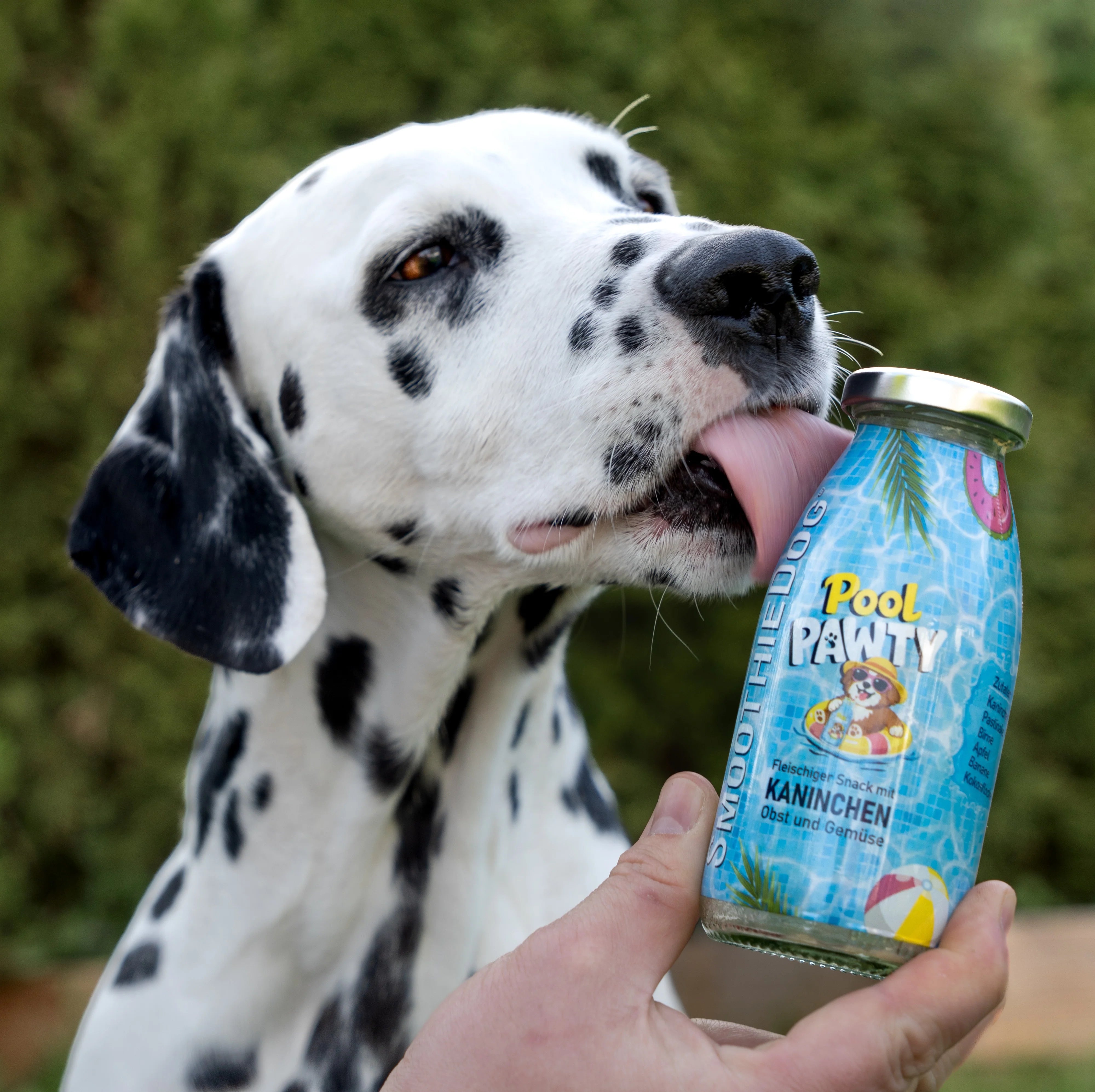 SmoothieDog Summer-Edition Pool Pawty