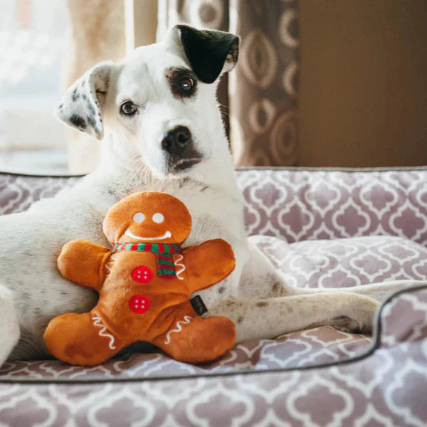 P.L.A.Y Holly Jolly Gingerbread Man
