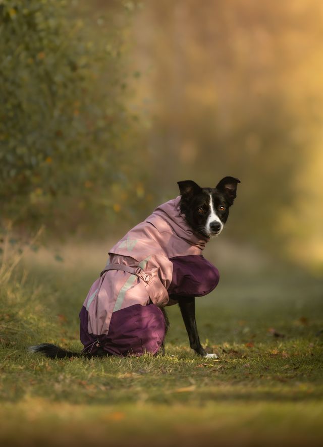 Wintermantel von Nonstop Glacier Jacket 3.0 purple