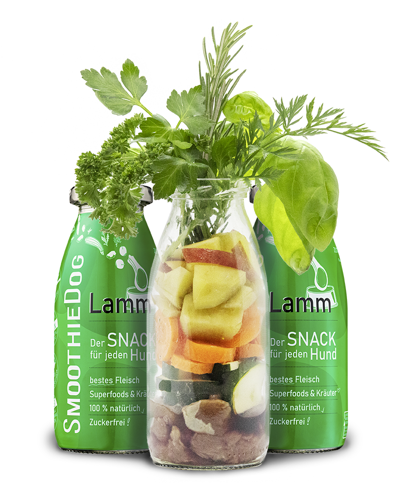 SmoothieDog Lamm