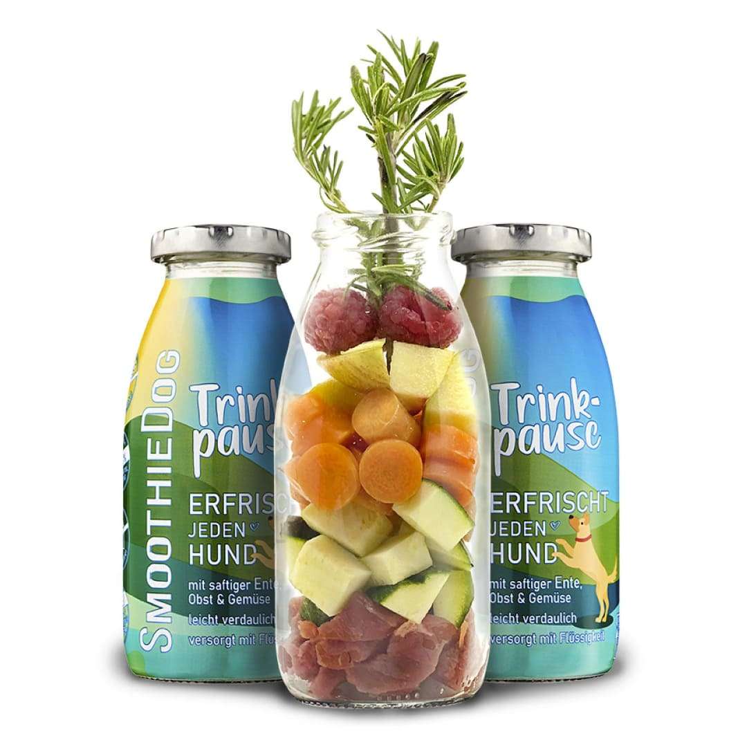SmoothieDog Trinkpause