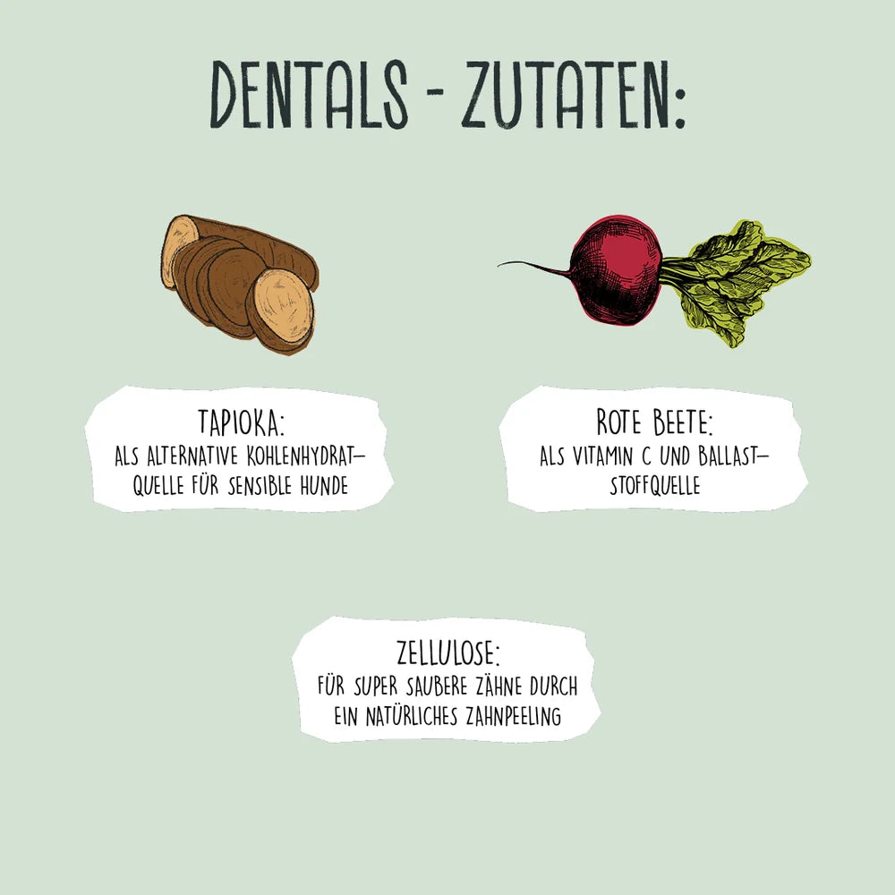 VEGDOG DENTALS XL
