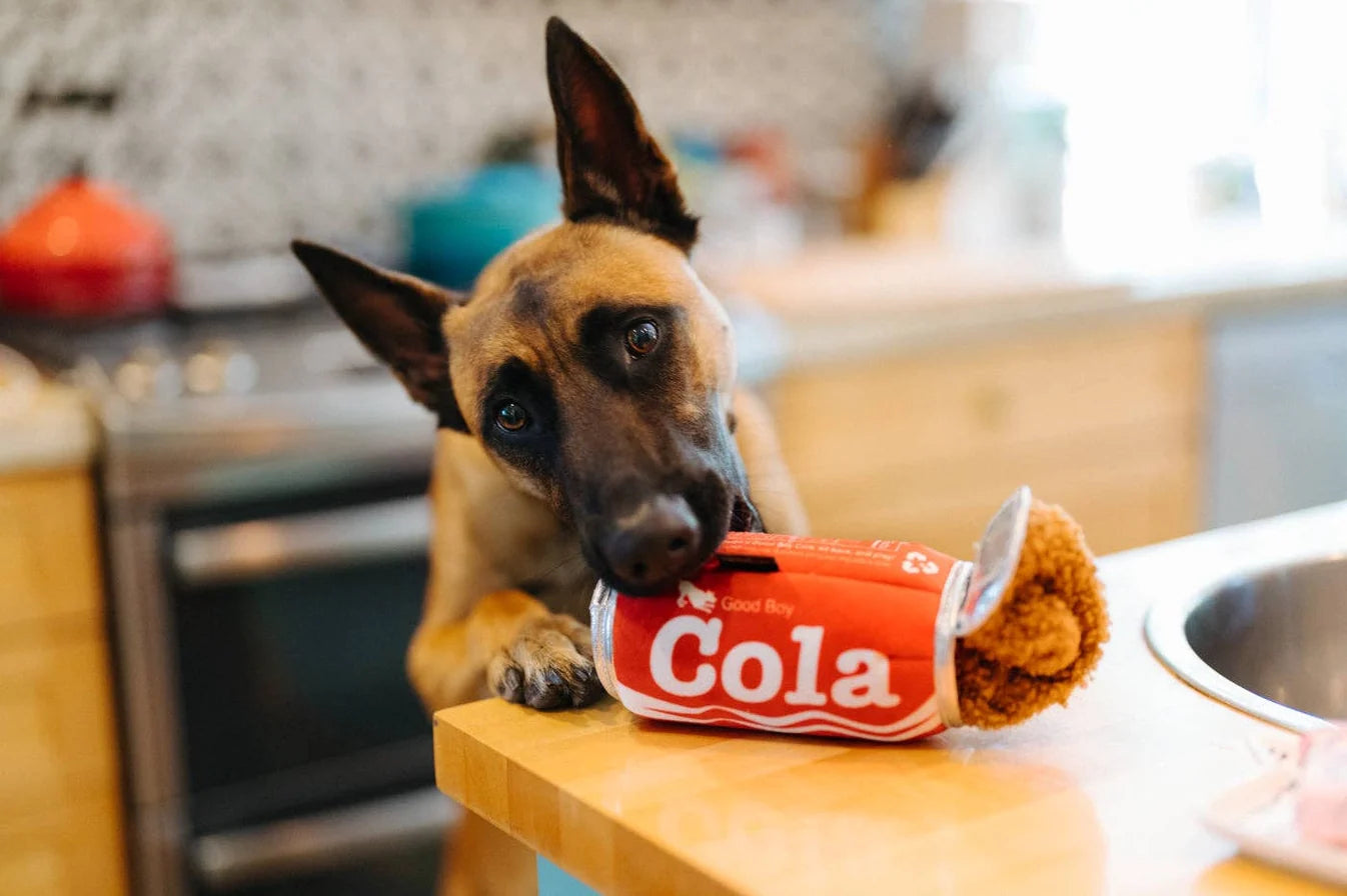 P.L.A.Y. Good Boy Cola