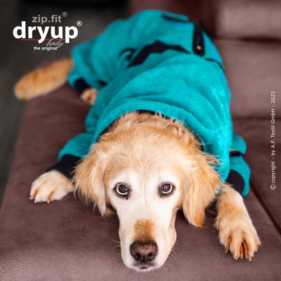 Actionfactory Dryup Body Zip.fit_Hundebademantel mit Beinen Petrol