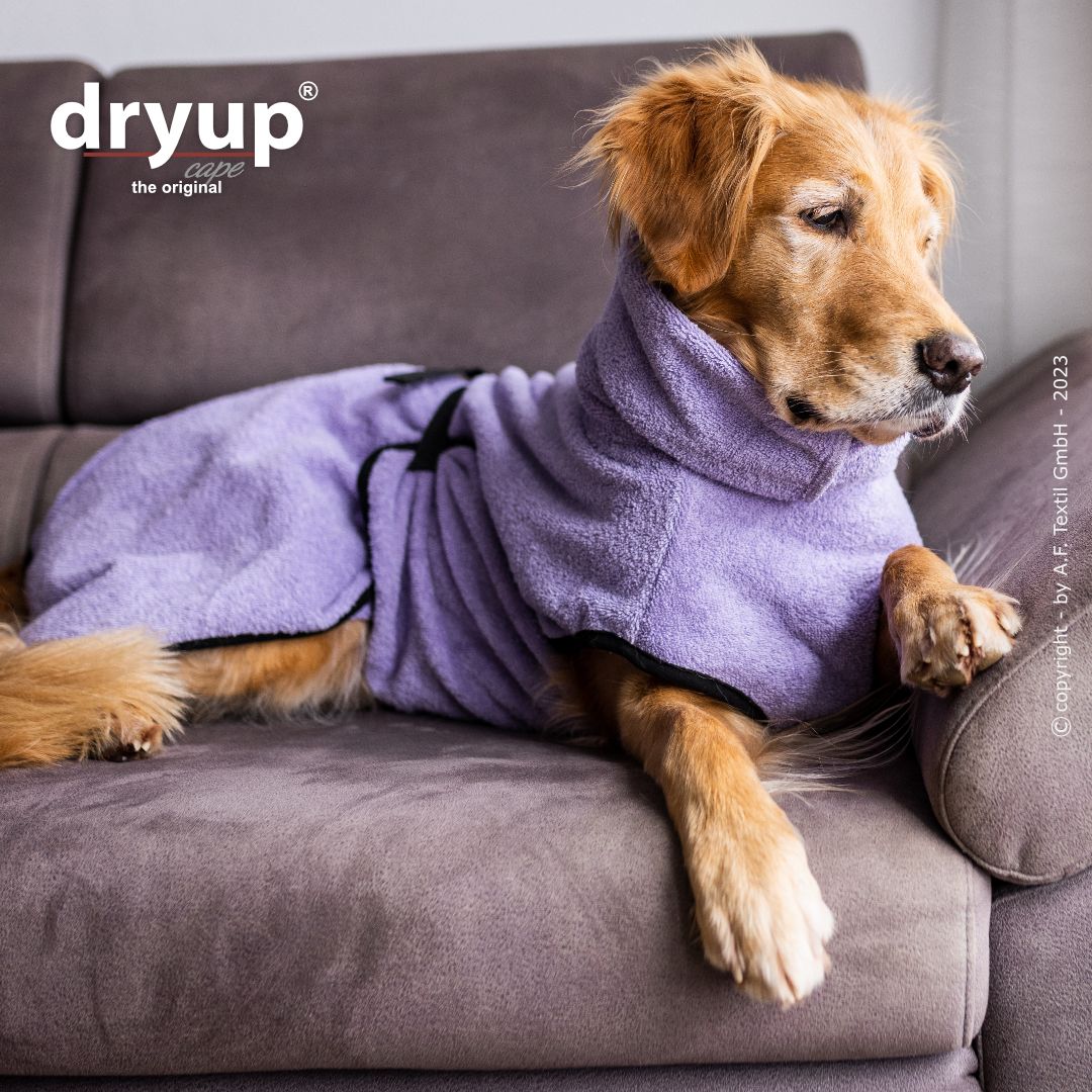 Dryup® Cape Lavendel von Actionfactory