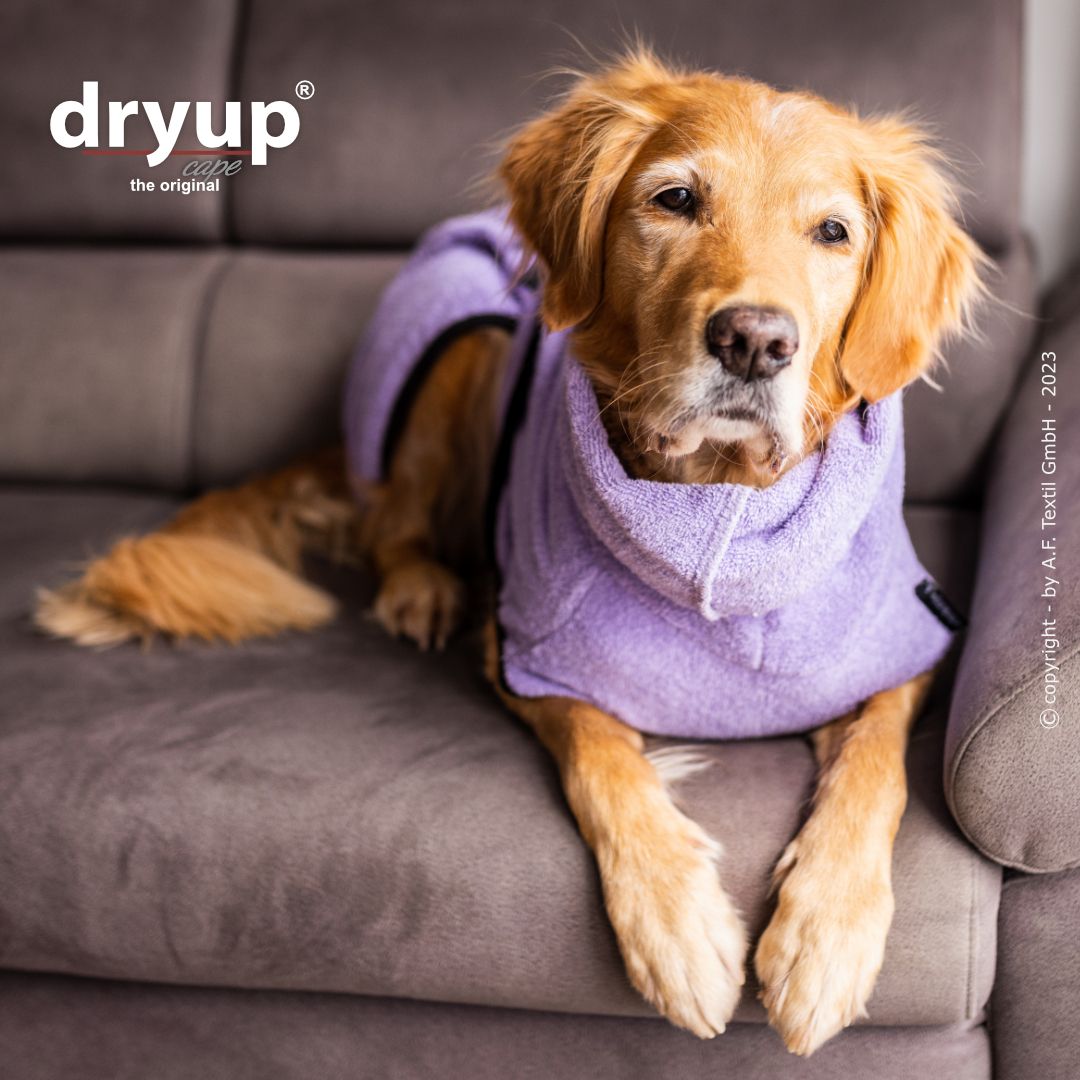 Dryup® Cape Lavendel von Actionfactory