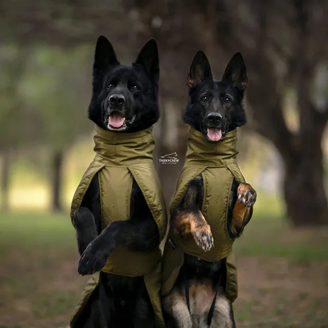Non-Stop Dogwear Glacier Dog Jacket WD