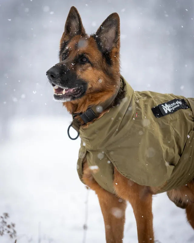 Non-Stop Dogwear Glacier Dog Jacket WD