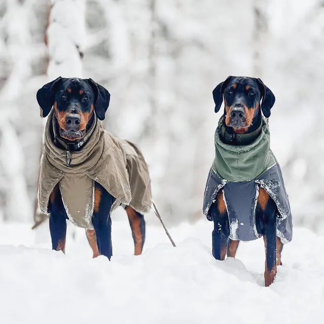 Non-Stop Dogwear Glacier Dog Jacket WD