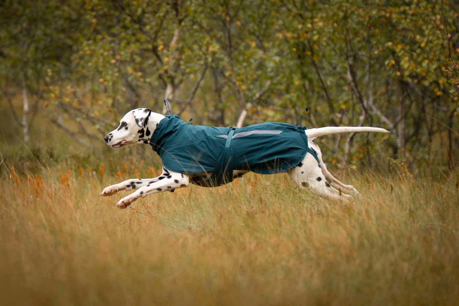 wärmender Regenmantel von Nonstop Fjord lined raincoat
