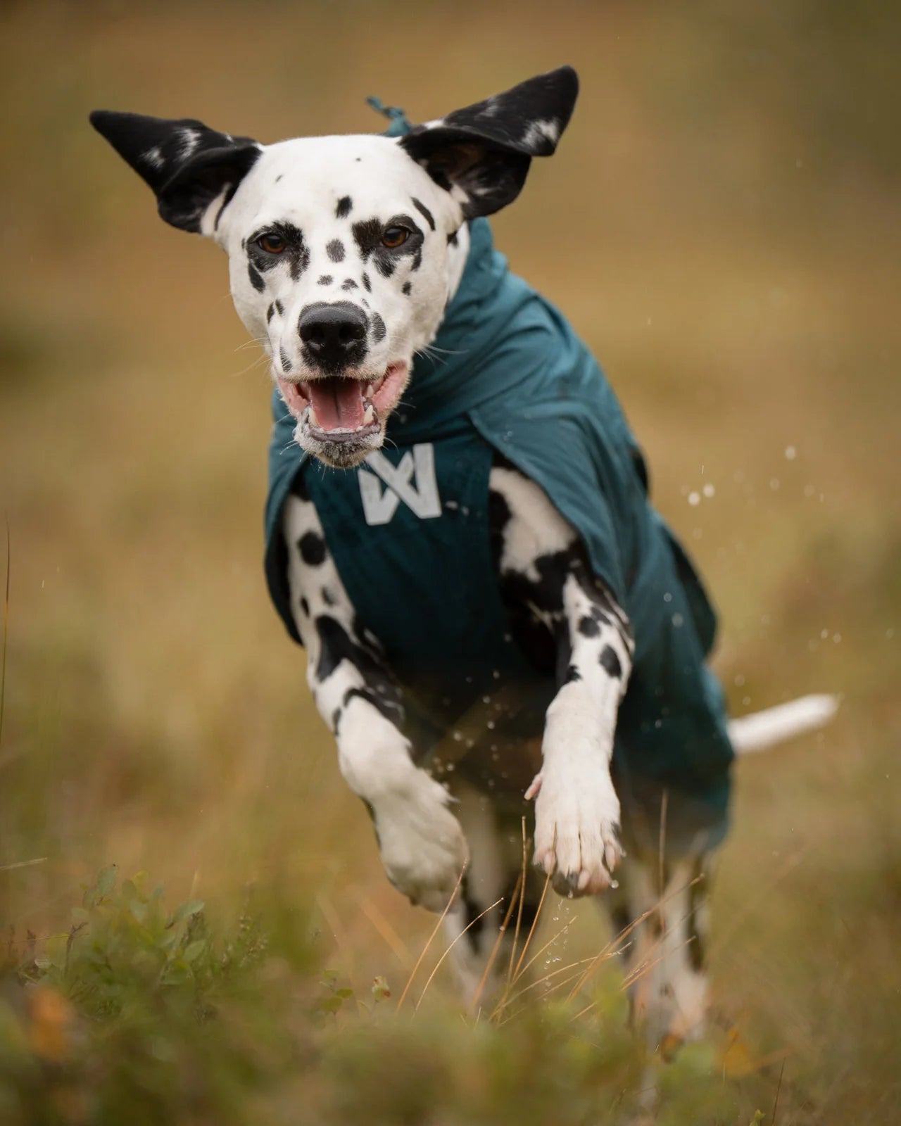 wärmender Regenmantel von Nonstop Fjord lined raincoat