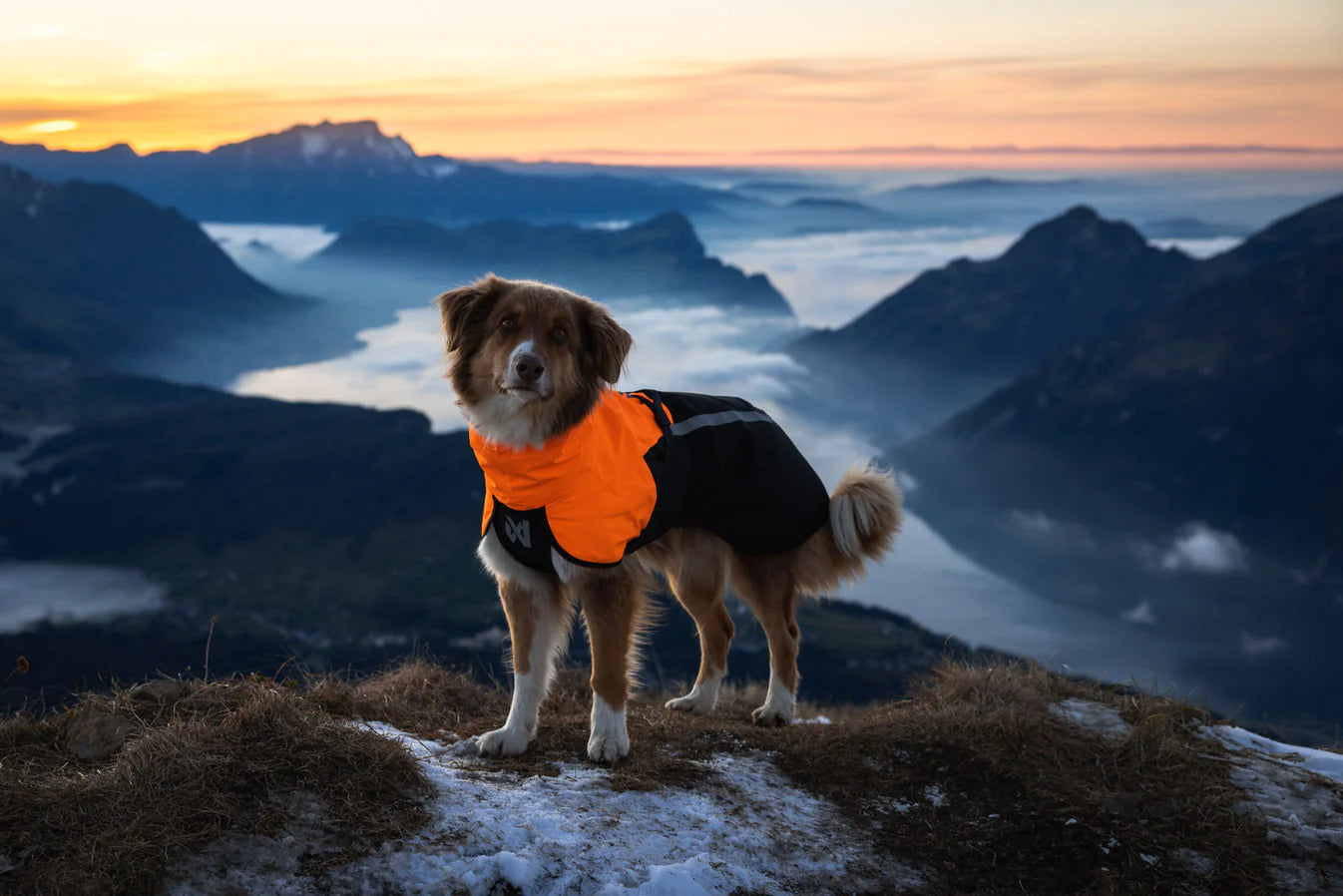Non-Stop Dogwear Fjord Raincoat 2.0 gray