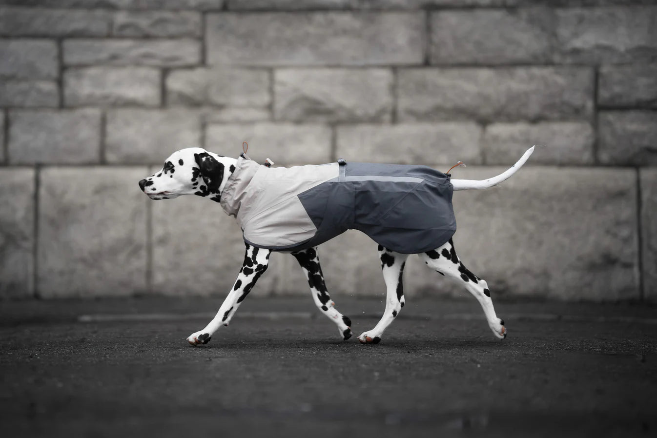 Non-Stop Dogwear Fjord Raincoat 2.0 gray