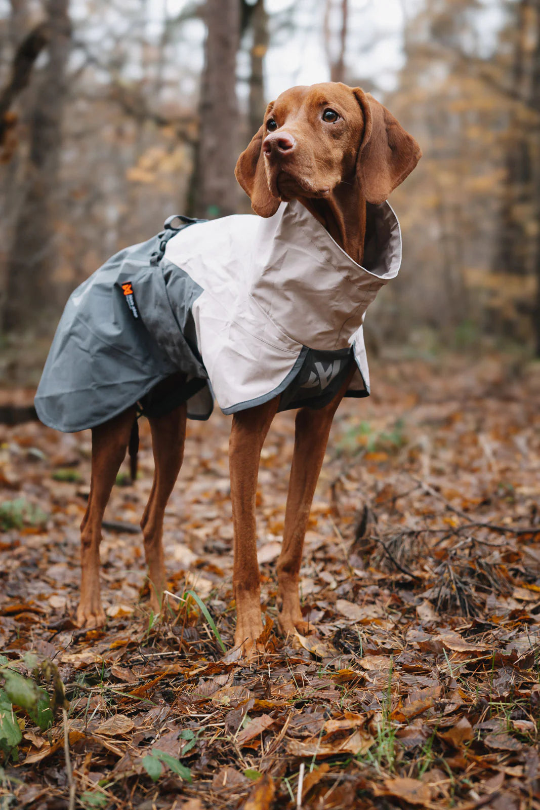 Non-Stop Dogwear Fjord Raincoat 2.0 gray