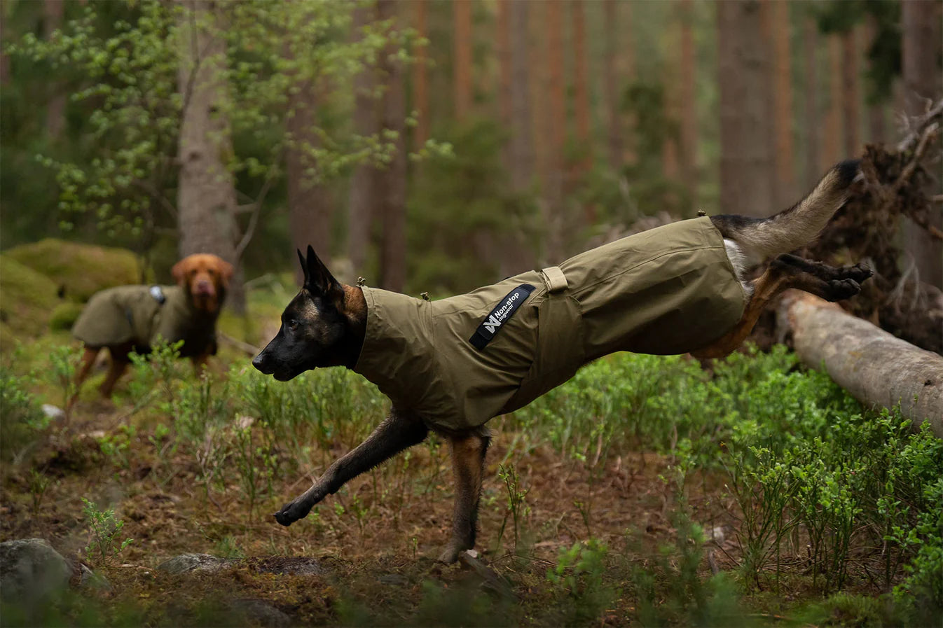 Non-Stop Dogwear Fjord Raincoat WD, olive