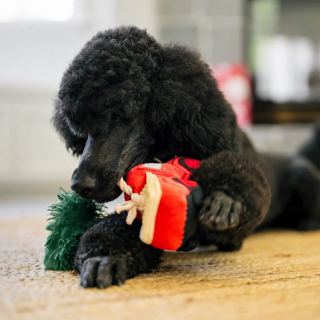 P.L.A.Y Zuhause für die Feiertage Feiertags-Laster