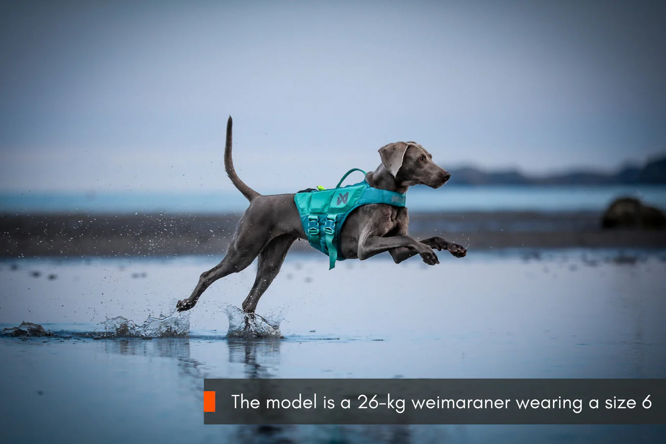 Schwimmweste Protector Life Jacket von Non - stop dogwear Farbe black/orange