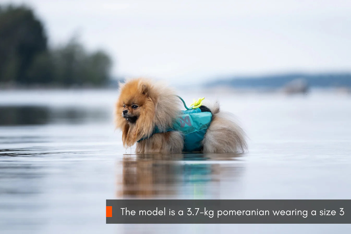Schwimmweste Protector Life Jacket von Non - stop dogwear Farbe black/orange