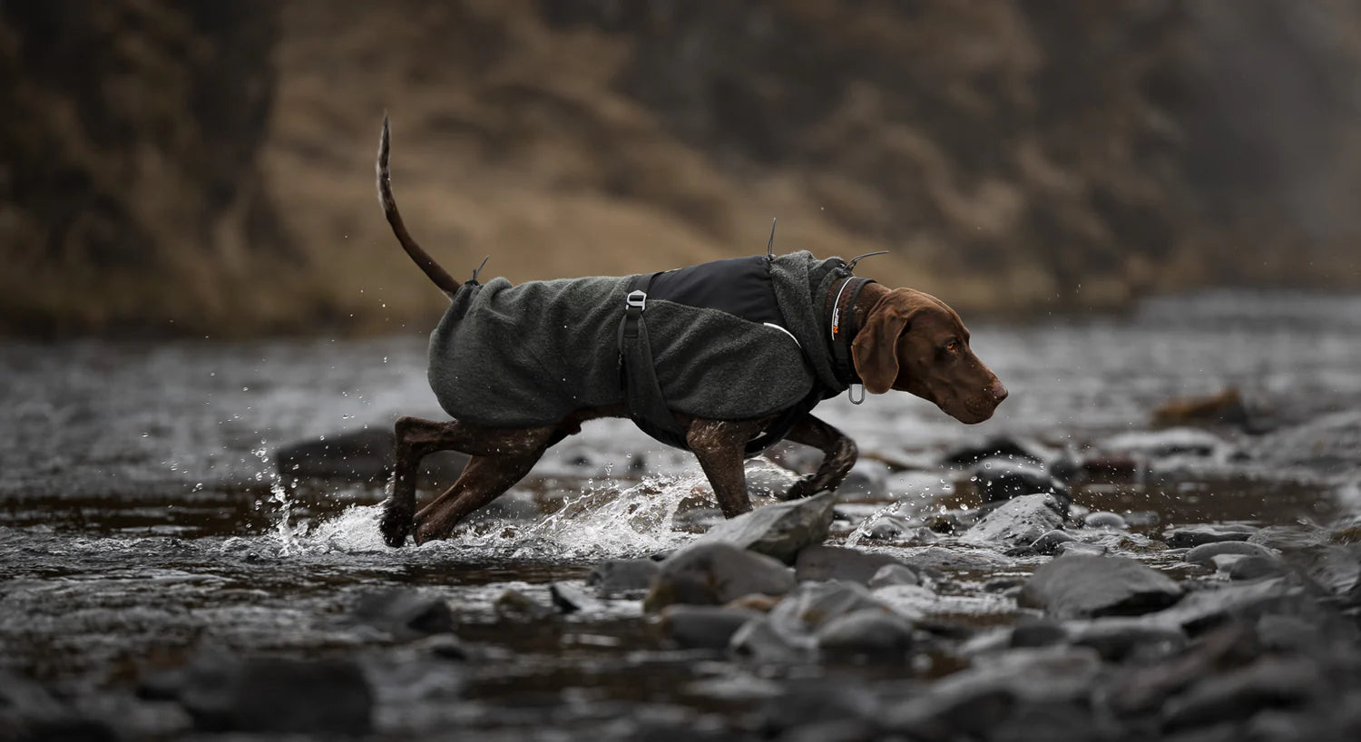 Wool Dog Jacket Sand