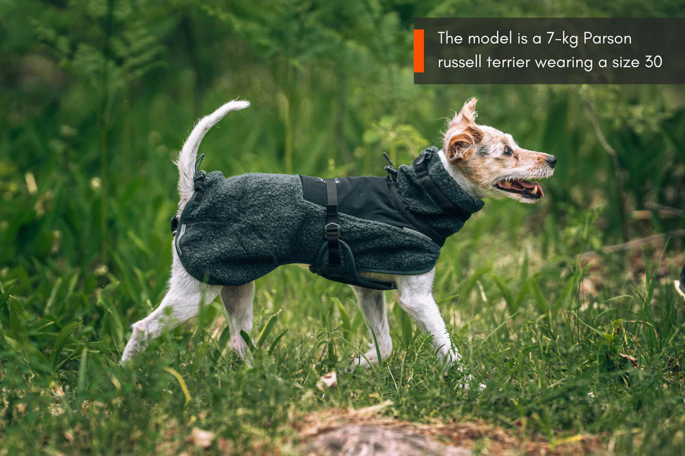 Wool Dog Jacket Sand