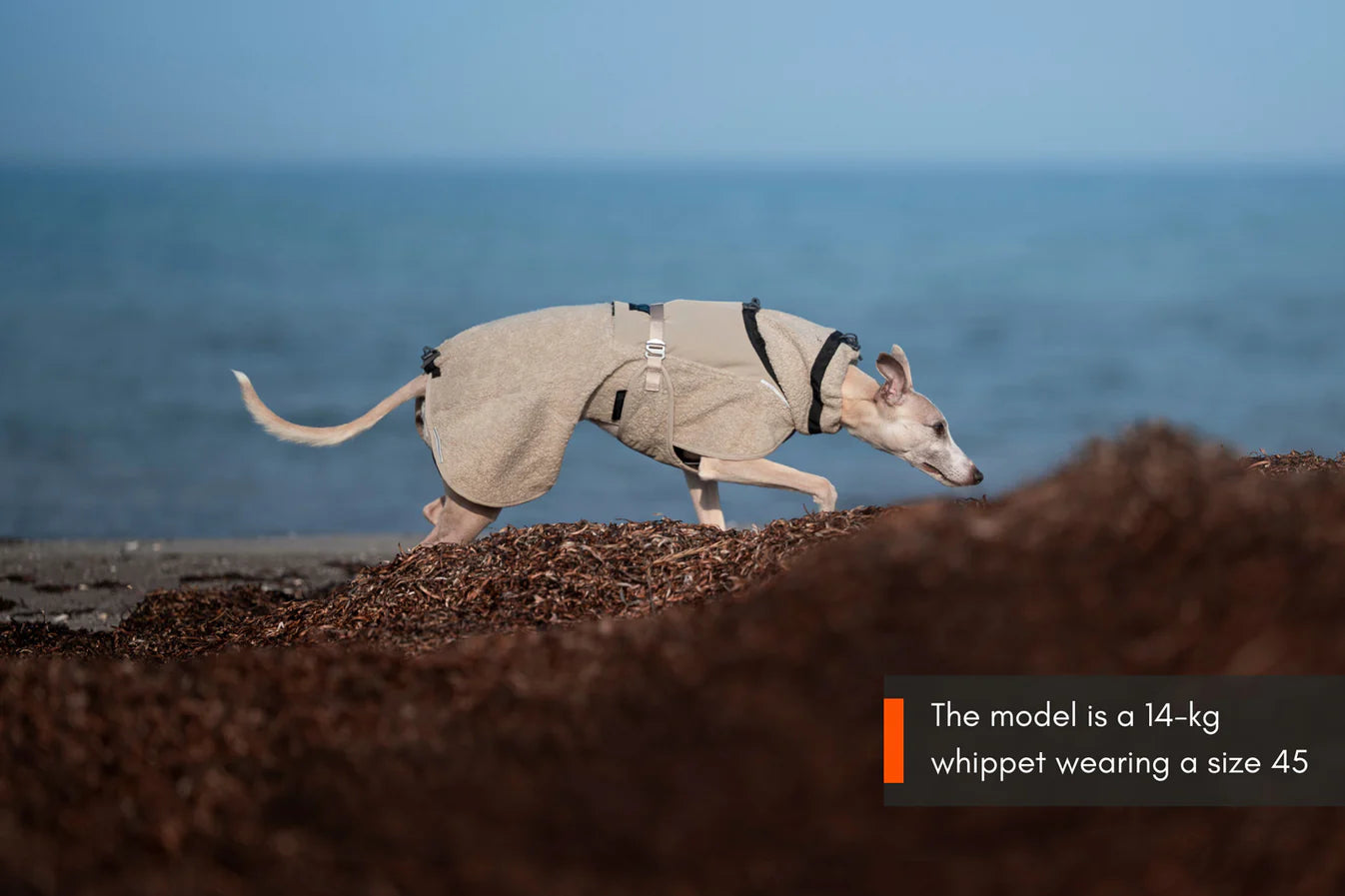 Wool Dog Jacket Sand