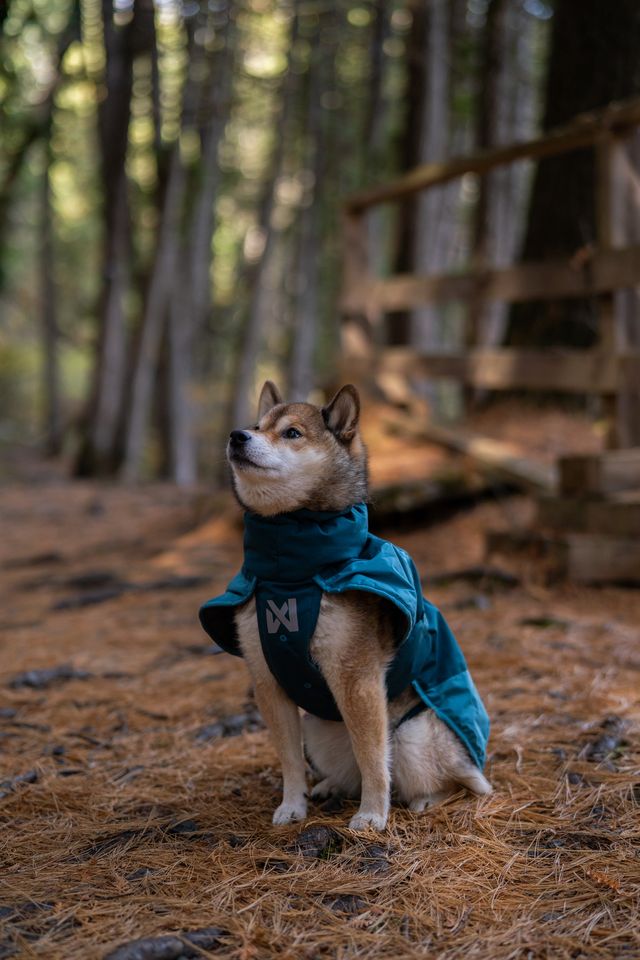 Wintermantel von Nonstop Glacier Jacket 3.0 teal