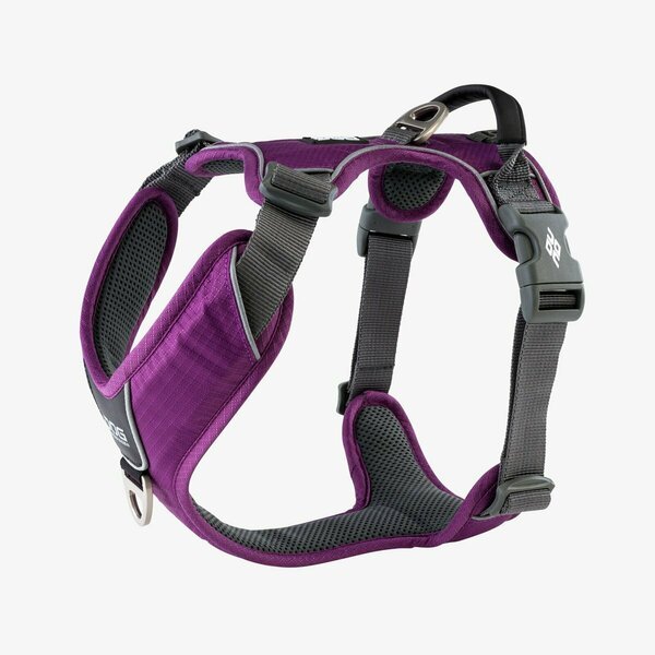 Dog Copenhagen V2 Comfort Walk (Pro), Farbe: Purple Passion