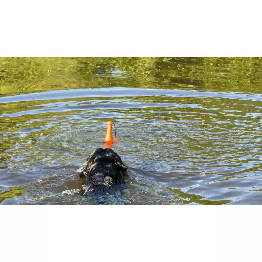 Dog Comets Bobber rosa