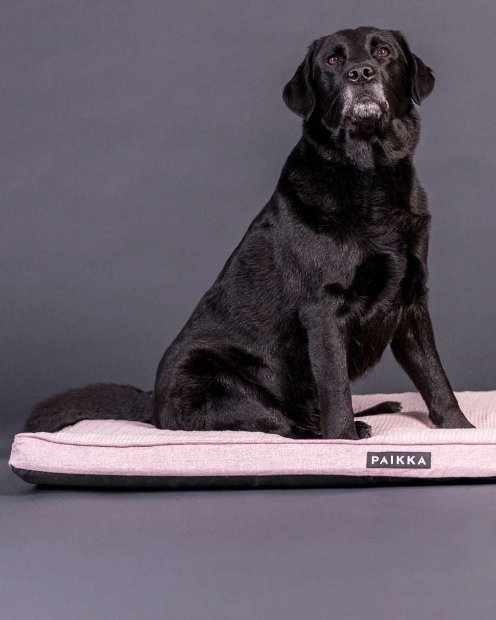PAIKKA Orthopädische Kühlmatratze Rosa