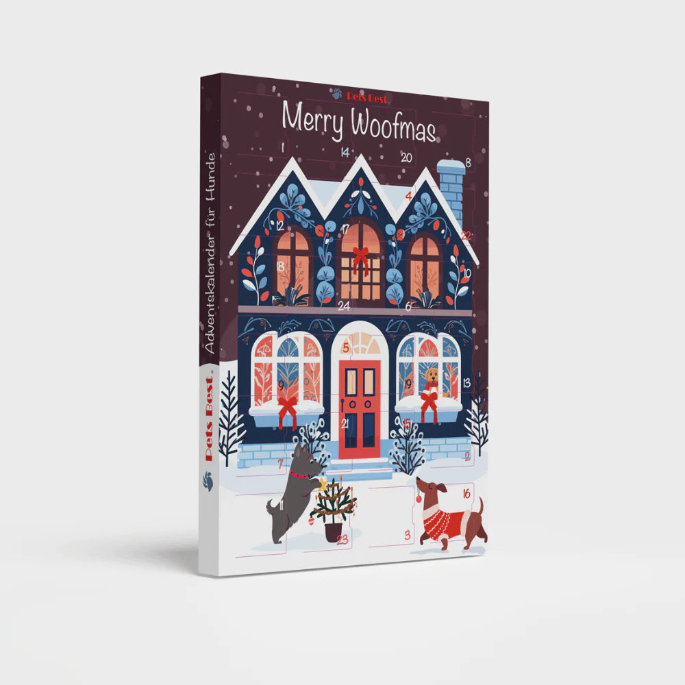 Adventskalender 2025 Cozy Dog House