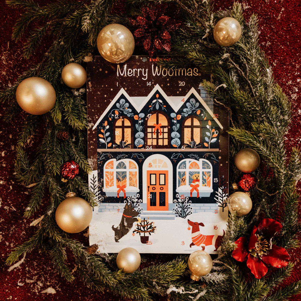 Adventskalender 2025 Cozy Dog House