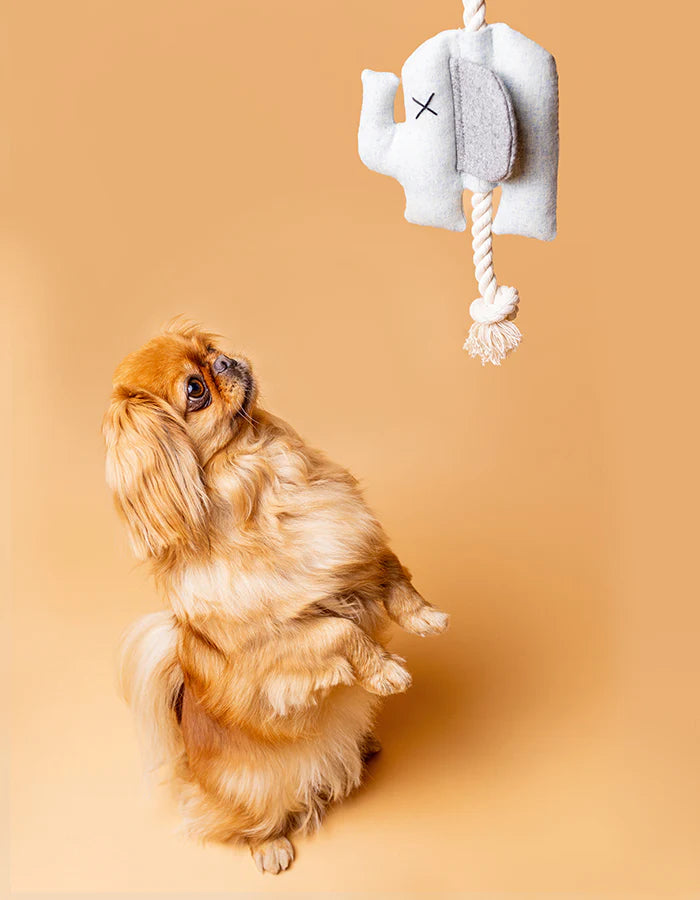 Hundespielzeug Emma der Elefant von Lillabel