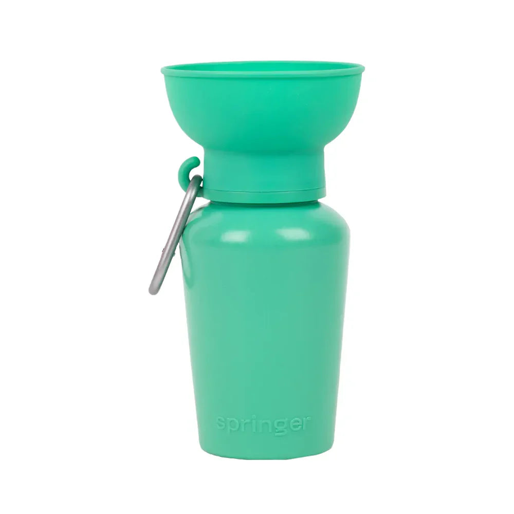 Springer Reisetrinkflasche Flip, 590ml grün