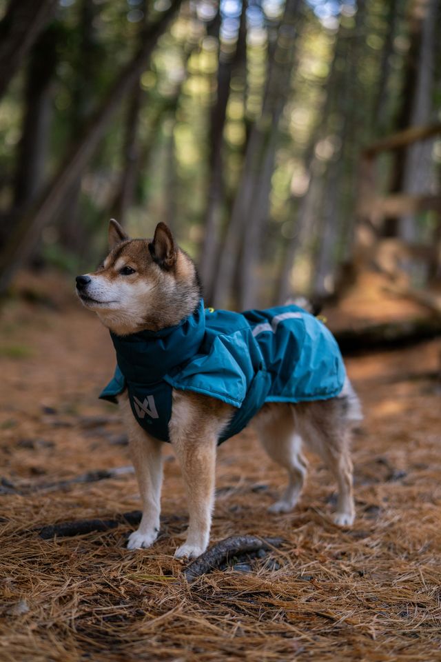 Wintermantel von Nonstop Glacier Jacket 3.0 teal