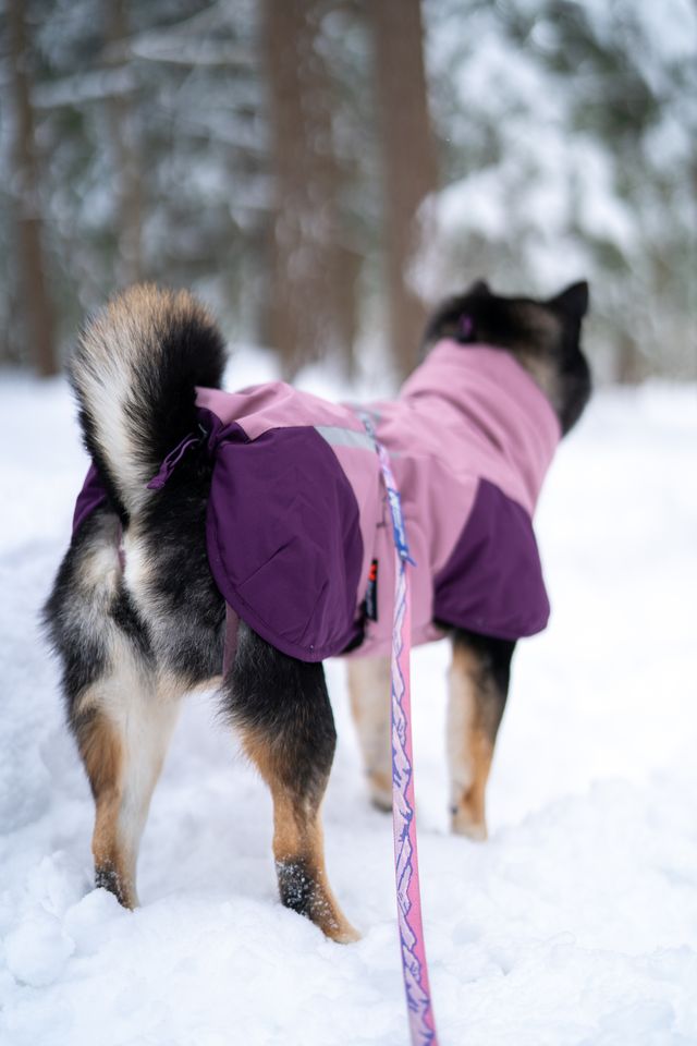 Wintermantel von Nonstop Glacier Jacket 3.0 purple