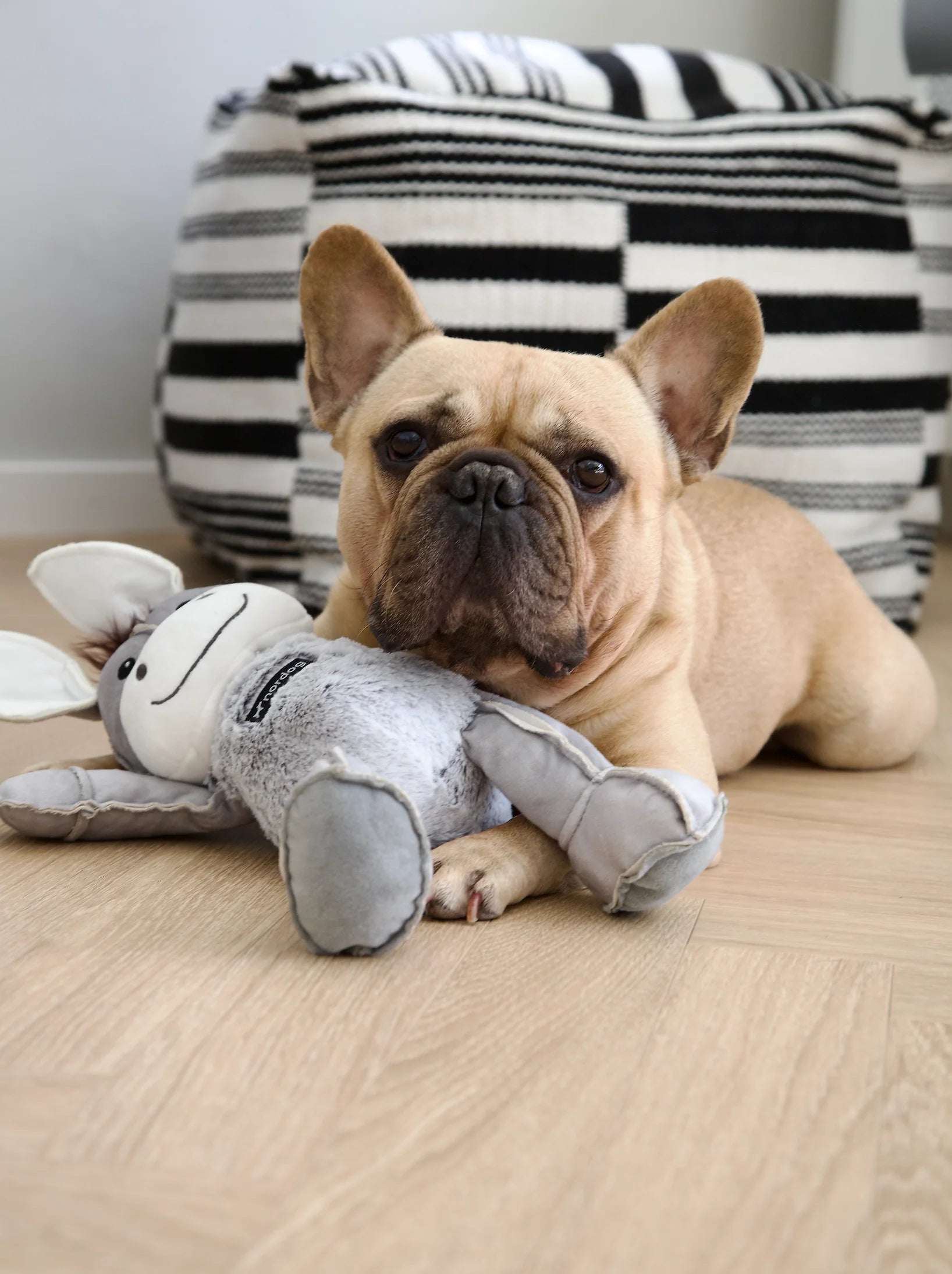 Dix der Esel von Nordog