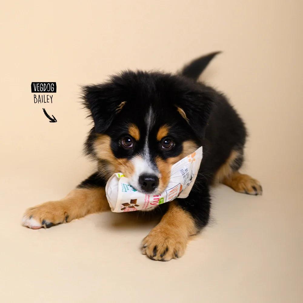 VEGDOG Brainy Bites