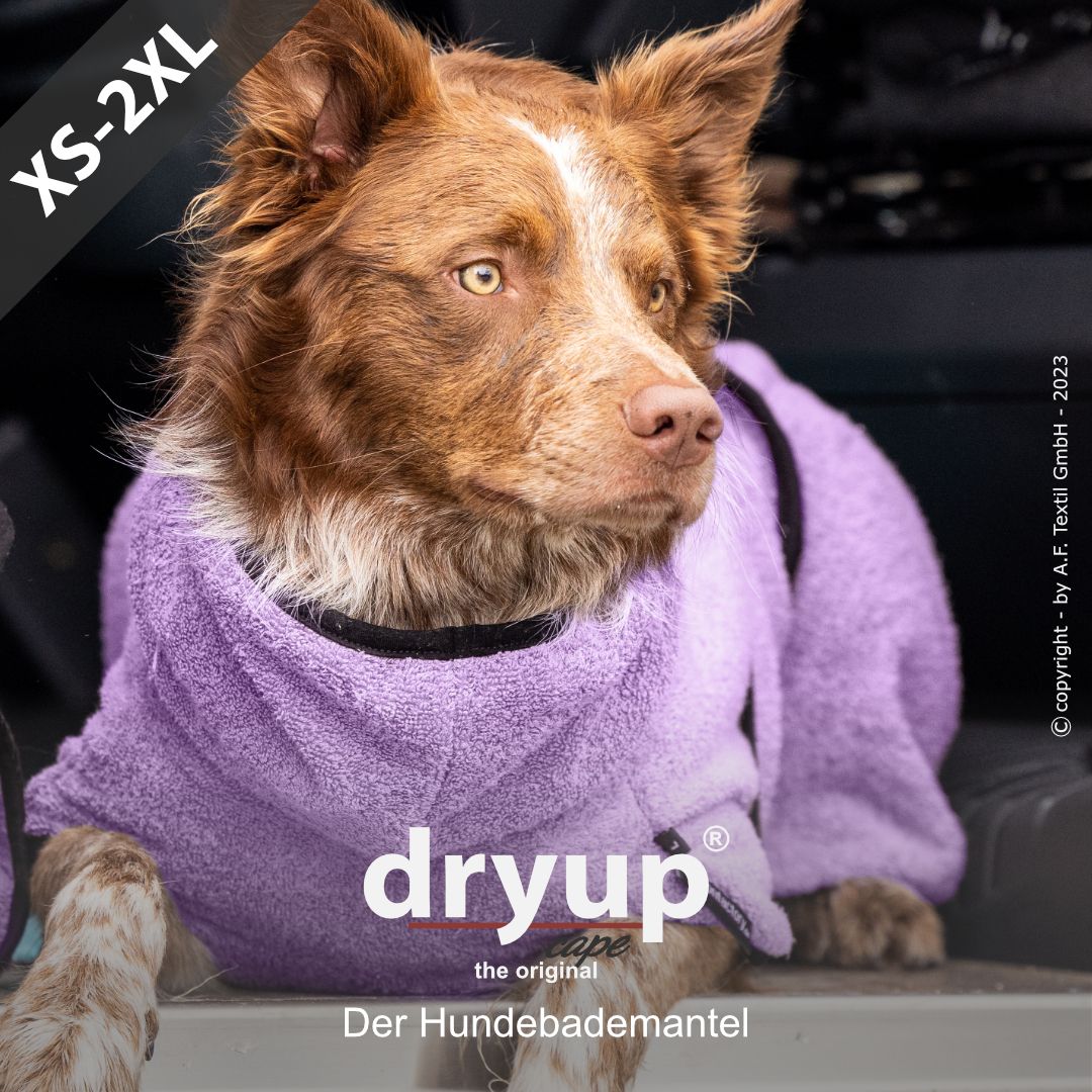 Dryup® Cape Lavendel von Actionfactory