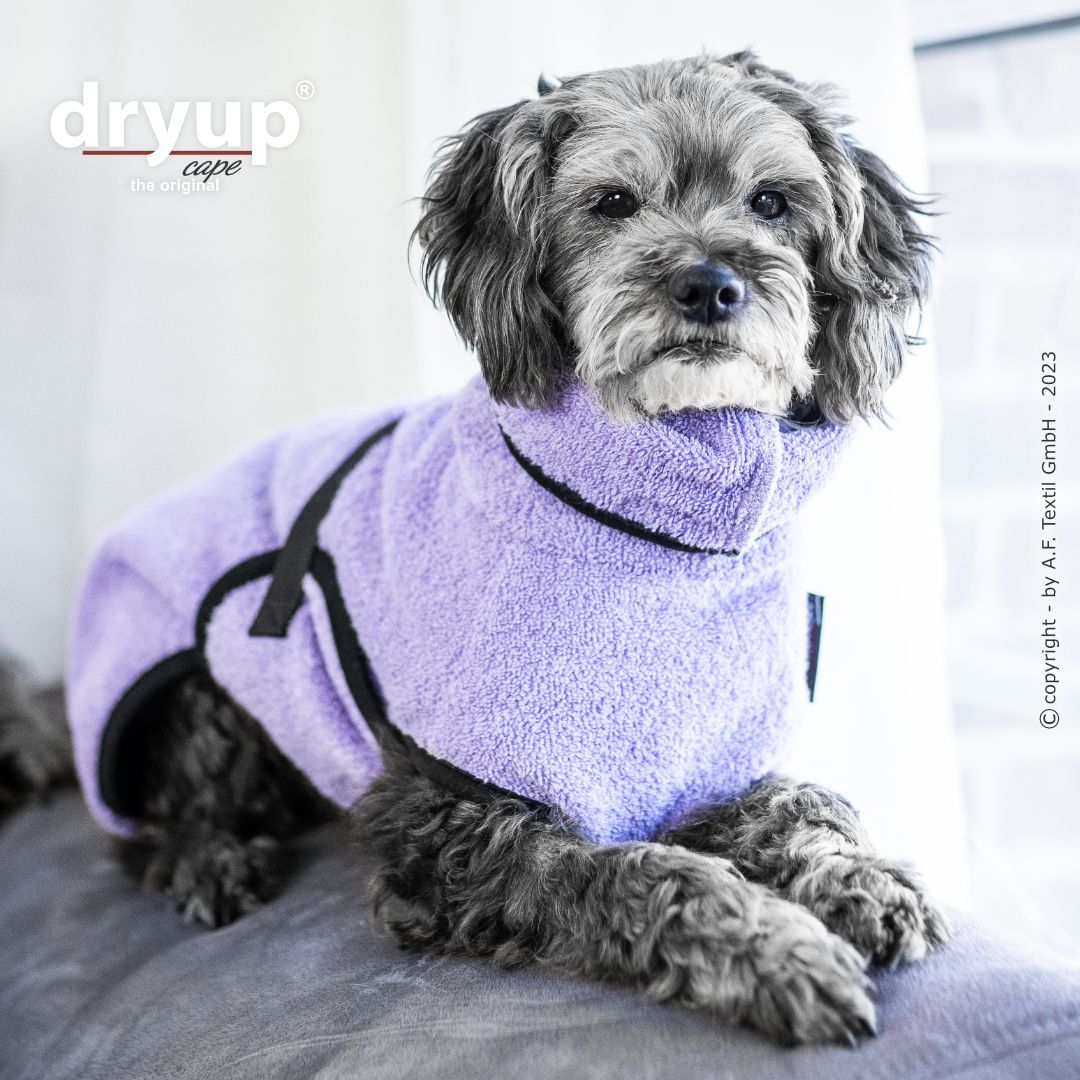 Dryup® Cape Mini Lavendel von Actionfactory
