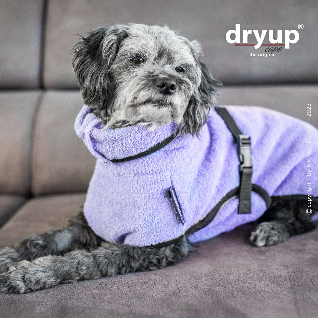Dryup® Cape Mini Lavendel von Actionfactory