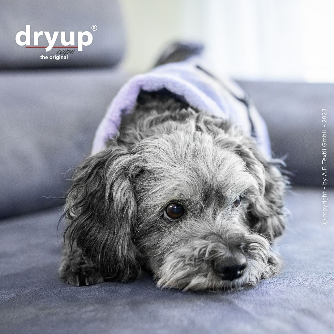 Dryup® Cape Mini Lavendel von Actionfactory