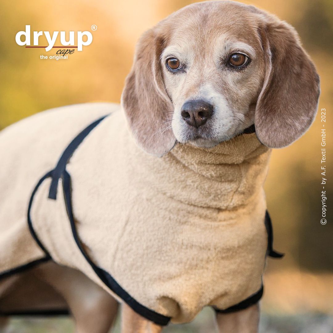 Dryup® Cape Mini Sand von Actionfactory
