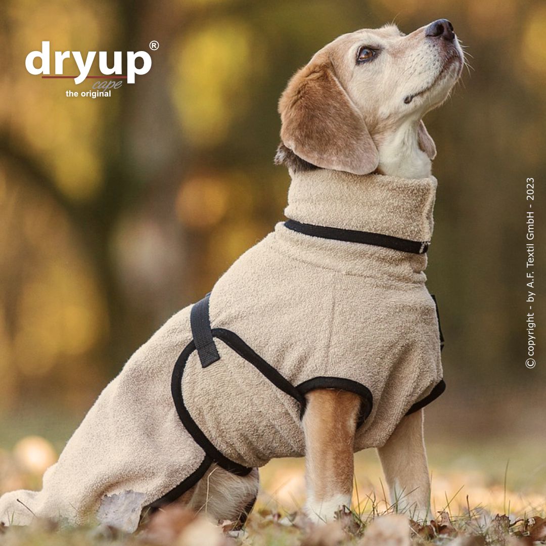 Dryup® Cape Mini Sand von Actionfactory