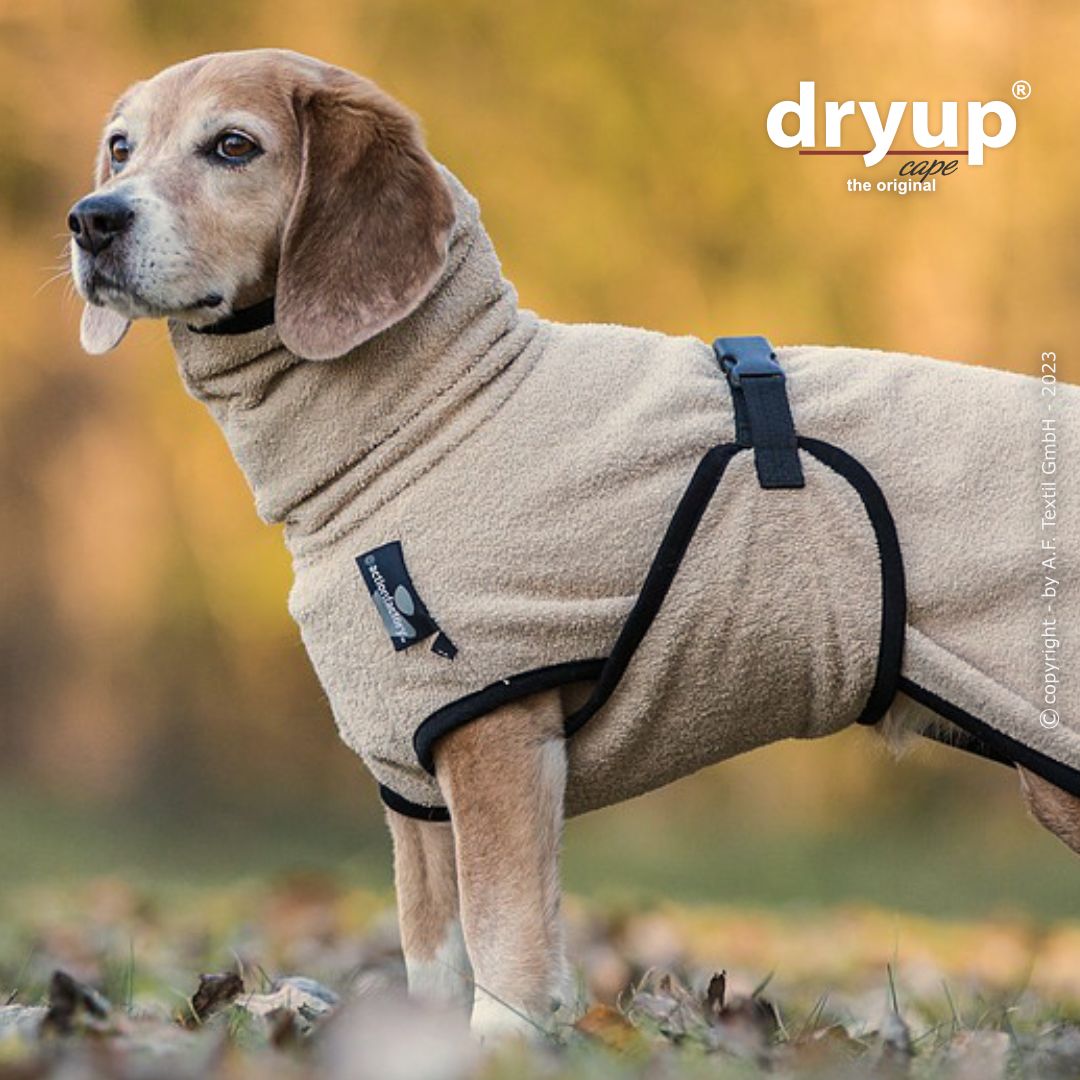 Dryup® Cape Mini Sand von Actionfactory